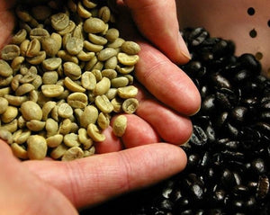 How to import green store coffee beans